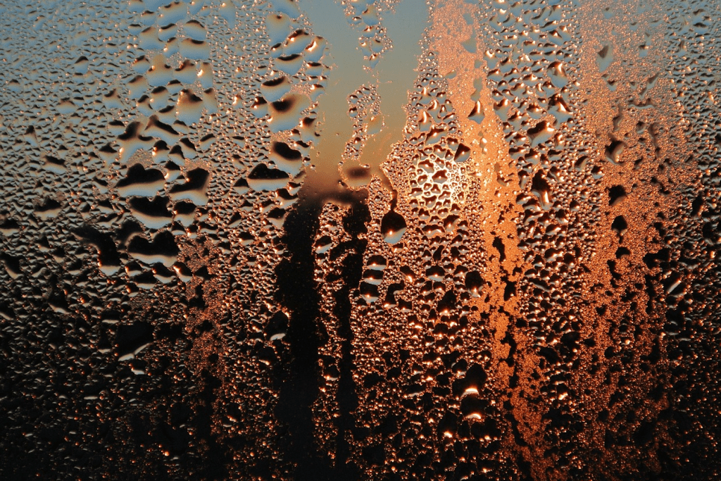 Condensation inside of a shipping container